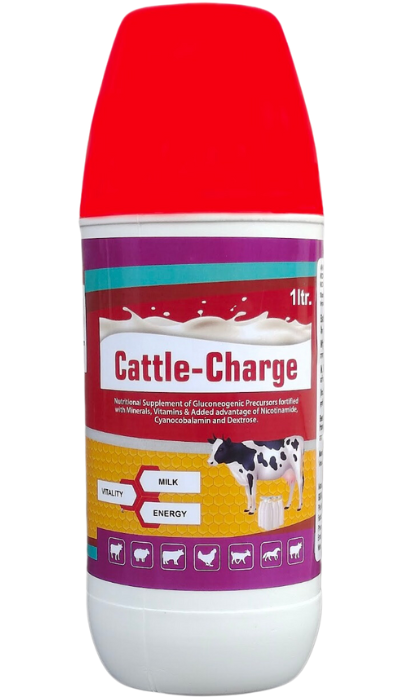 ENERGY BOOSTER FOR COW AND OTHER RUMINANTS. Gluconeogenic Precursors