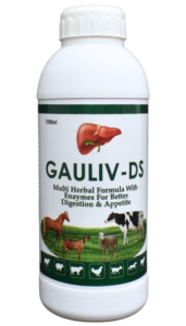 GAULIV-DS (THE BEST LIVER TONIC FOR COWS AND OTHER RUMINANTS)