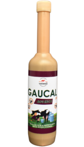 GAU-CAL GEL ADVANCED Calcium gel for cows